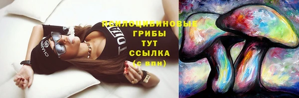 прущий лед Майский