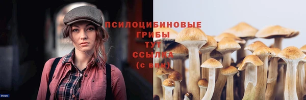 прущий лед Майский